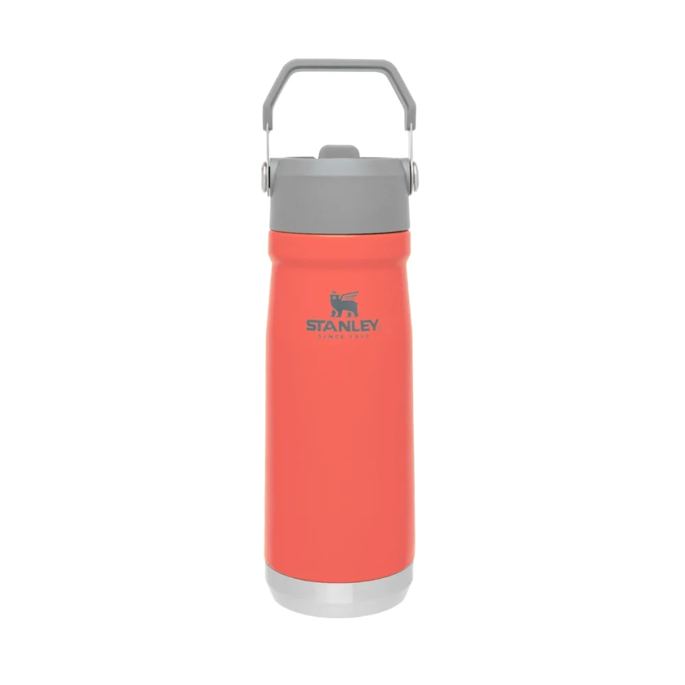 Термокружка STANLEY THE ICEFLOW™ FLIP STRAW WATER BOTTLE (коралловая), 500 ml, 10-09991-075 с доставкой по России и в Казахстан | BreadyФото 2