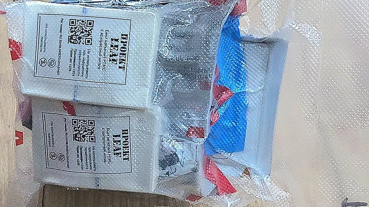 Набор №11 "EDR" LEAF с доставкой по России | BreadyФото 2