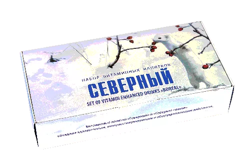 Набор витаминных напитков "Северный", 10 шт. с доставкой по России и в Казахстан | BreadyФото 2