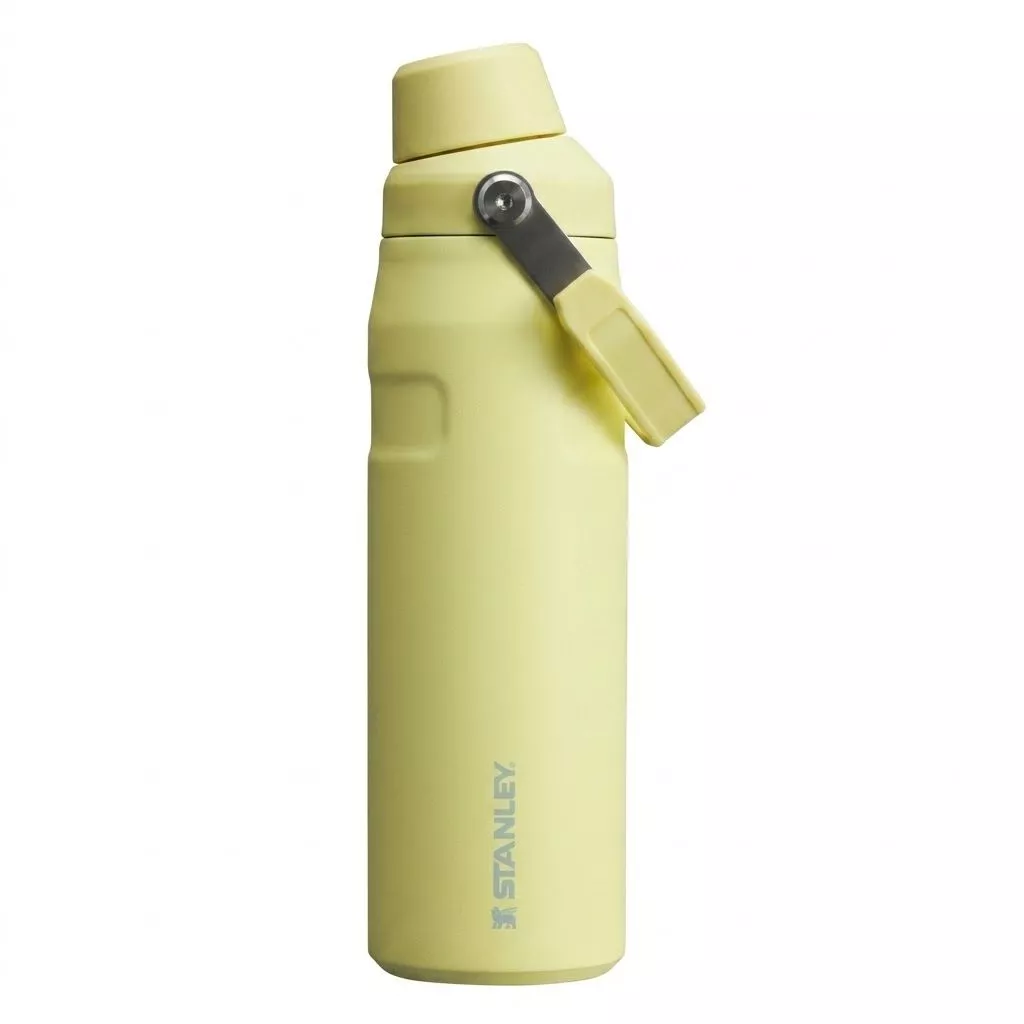 Термобутылка STANLEY GO Iceflow™ 473 ml (10-12579-012) pomelo помело с доставкой по России | BreadyФото 0