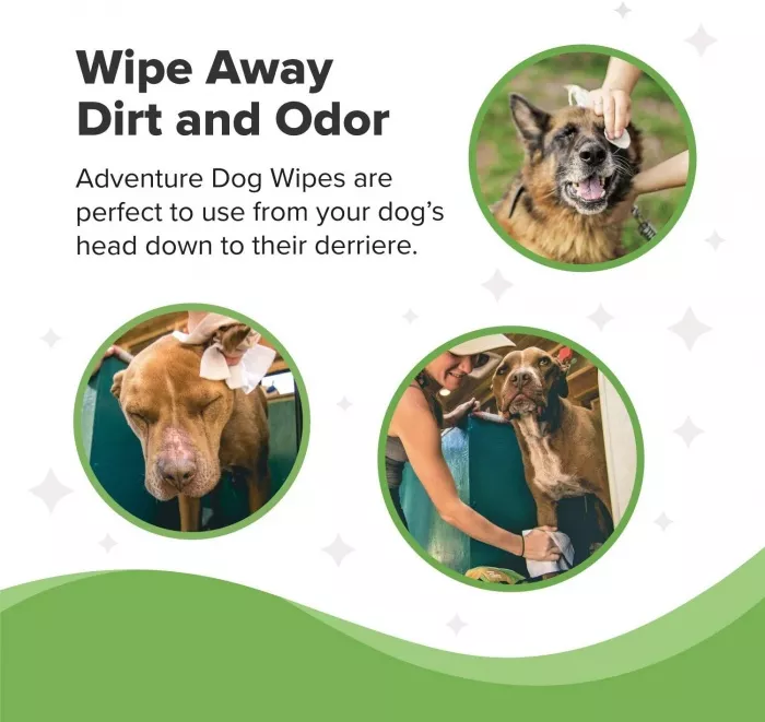 Салфетки влажные для животных Dog Wipes с доставкой по России и в Казахстан | Bready